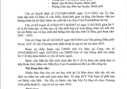 Thông báo: Về việc triển khai Chương trình phẫu thuật lé - sụp mi trẻ em năm 2024